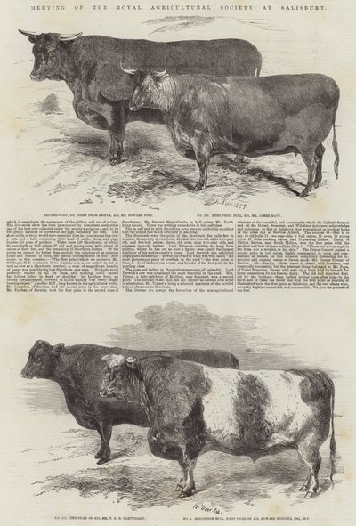 Reunión de la Sociedad Real de Agricultura en Salisbury de Harrison William Weir